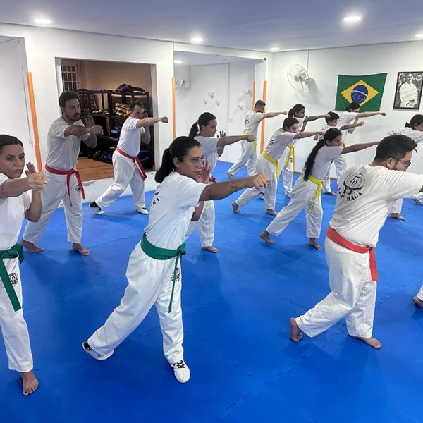 Krav Maga Chácara Santo Antônio