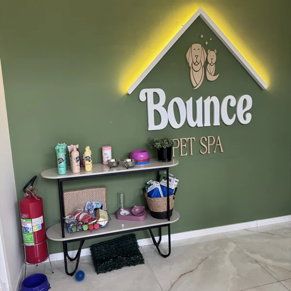 Bounce Pet Spa