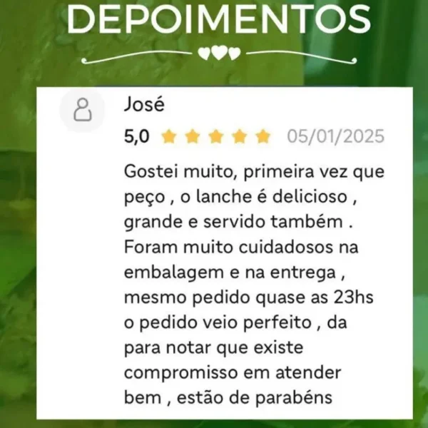 Healthy Burguer — Hambúrguer Vegano, Vegetariano e Funcional