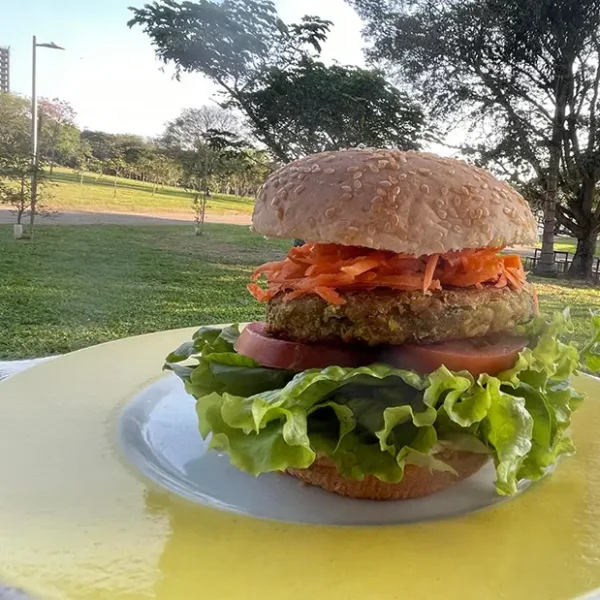 Healthy Burguer — Hambúrguer Vegano, Vegetariano e Funcional