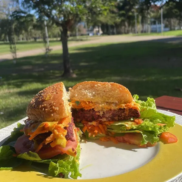 Healthy Burguer — Hambúrguer Vegano, Vegetariano e Funcional