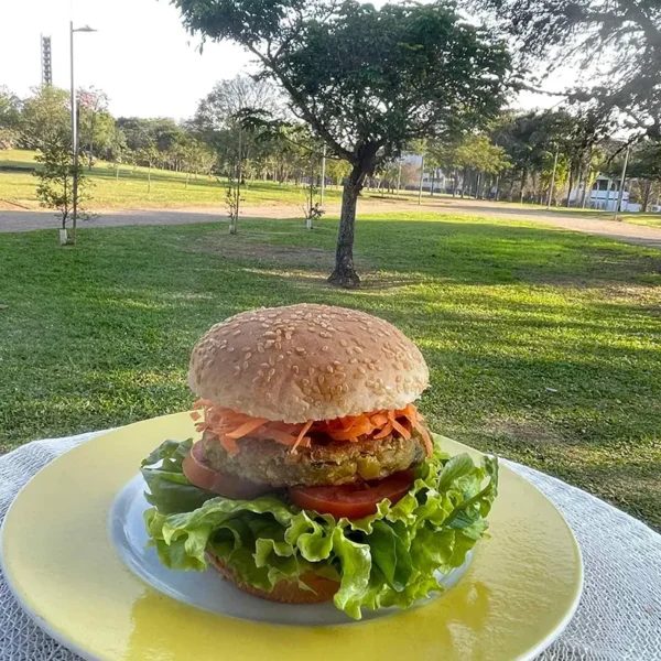 Healthy Burguer — Hambúrguer Vegano, Vegetariano e Funcional