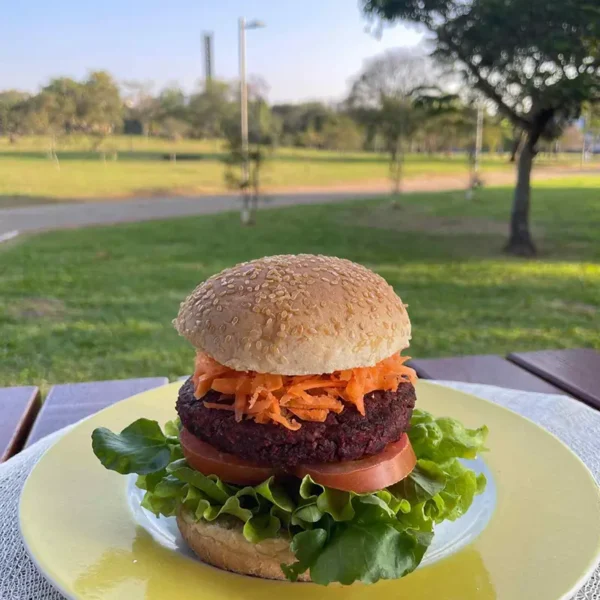 Healthy Burguer — Hambúrguer Vegano, Vegetariano e Funcional
